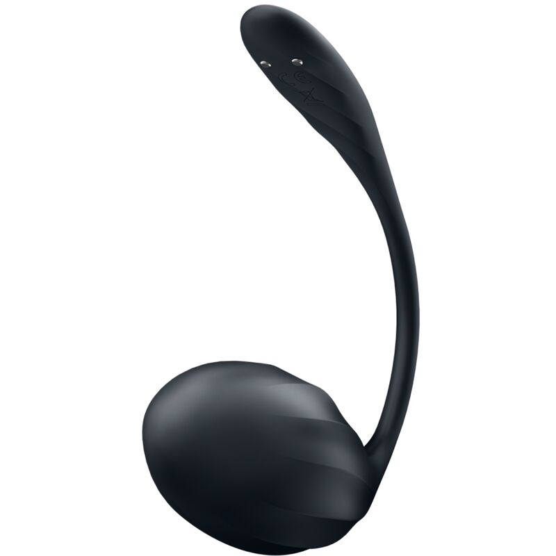 Vibromasseur point G portable Ribbed Petal noir télécommande app – Satisfyer